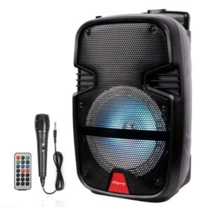 Finnteck Party 15inch Loudspeaker with Remote & Microphone
