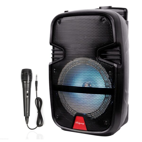 Finnteck Party 15inch Loudspeaker with Remote & Microphone - Image 5