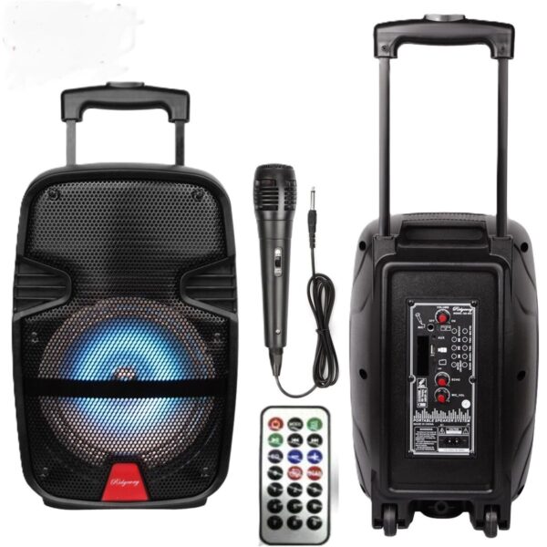Finnteck Party 15inch Loudspeaker with Remote & Microphone - Image 6