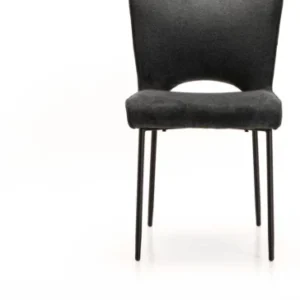 KCW FURNITURE -Fabric Dining Chair  (Set of 1, Finish Colour - GREY)