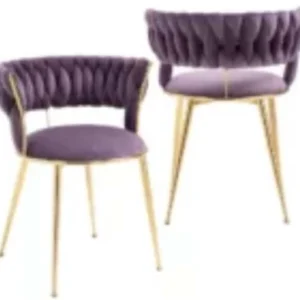 KCW FURNITURE Fabrics Fabric Dining Chair  (Set of 2, Finish Colour - Purple)